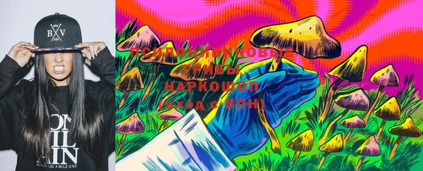 гашик Кулебаки
