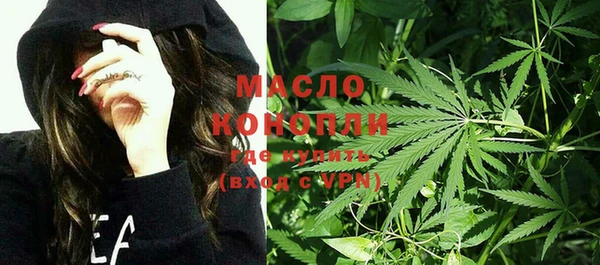 гашик Кулебаки