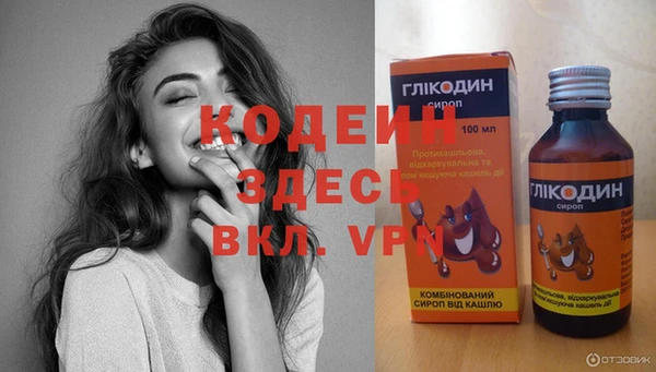 гашик Кулебаки