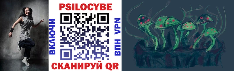 Галлюциногенные грибы Psilocybine cubensis  Купить  Саяногорск 